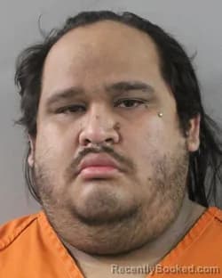 Booking photograph for Luis Loredo